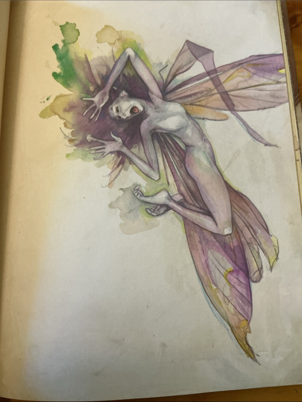 Lady Cottington’s Pressed Fairy Book Fantasy NEW
